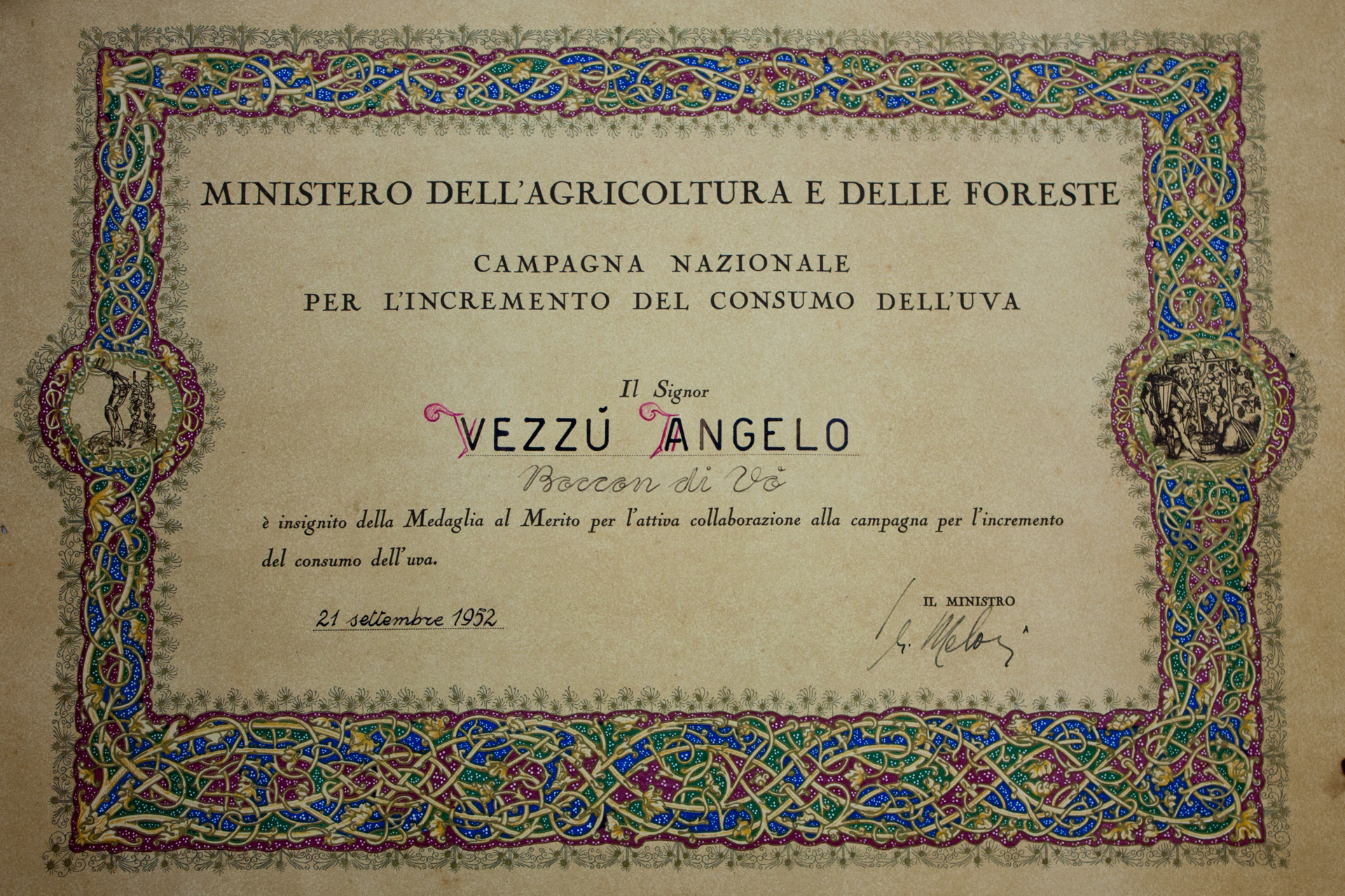 Diploma